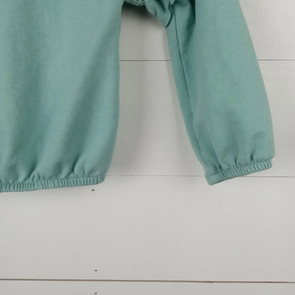 Gymboree girls size 2T mint ruffle crewneck elastic hem long sleeve top